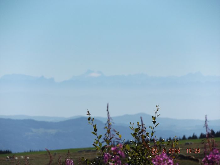 Ce même 22 août, mais cette fois de l'autre côté, côté Est un peu zoomé. Au fond, les Alpes à 150Km à vol d'oiseau, bien nets, mais entre ces Alpes et le massif Central d'où je prends la photo, il y a la vallée du Rhône, zone de pollution intense que l'on voit matérialisée par une bande de brume...peu de chose face aux chemtrails certains jours!